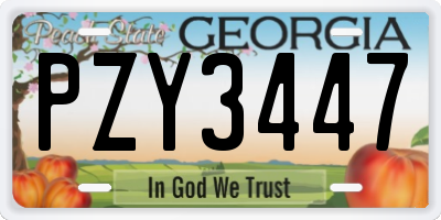 GA license plate PZY3447