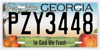 GA license plate PZY3448