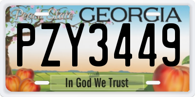 GA license plate PZY3449