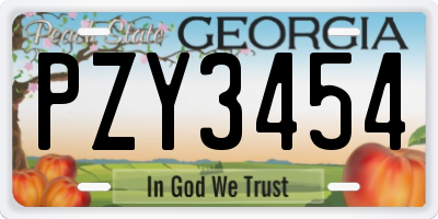 GA license plate PZY3454