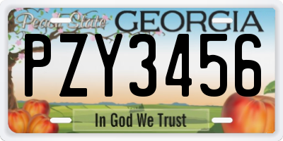 GA license plate PZY3456