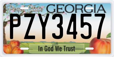 GA license plate PZY3457