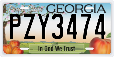 GA license plate PZY3474