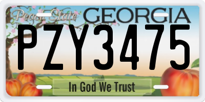 GA license plate PZY3475