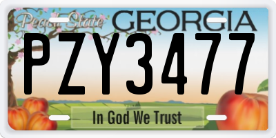 GA license plate PZY3477