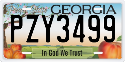 GA license plate PZY3499