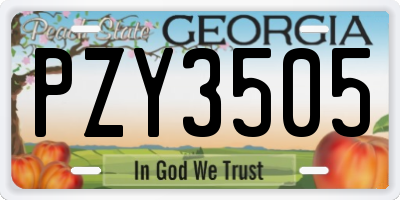 GA license plate PZY3505