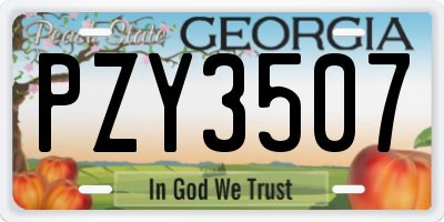 GA license plate PZY3507