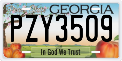 GA license plate PZY3509