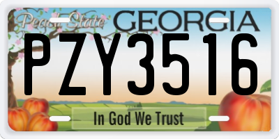 GA license plate PZY3516