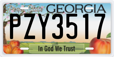 GA license plate PZY3517