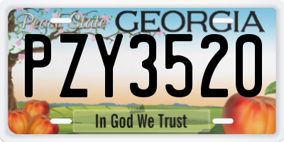 GA license plate PZY3520