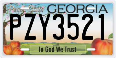 GA license plate PZY3521