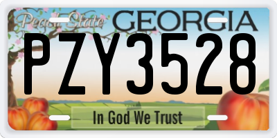 GA license plate PZY3528