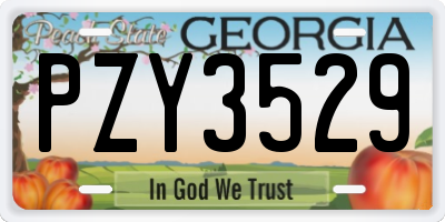 GA license plate PZY3529
