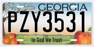 GA license plate PZY3531