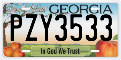 GA license plate PZY3533