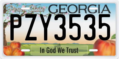 GA license plate PZY3535