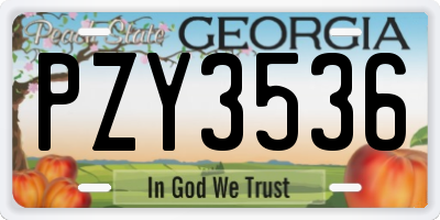 GA license plate PZY3536