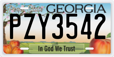GA license plate PZY3542