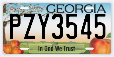 GA license plate PZY3545