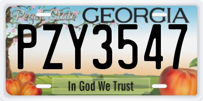 GA license plate PZY3547