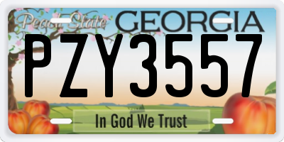 GA license plate PZY3557