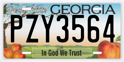 GA license plate PZY3564