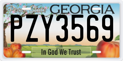 GA license plate PZY3569
