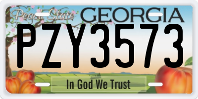 GA license plate PZY3573