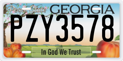 GA license plate PZY3578