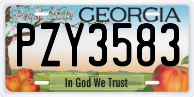 GA license plate PZY3583