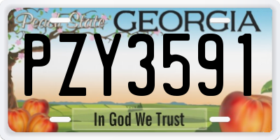 GA license plate PZY3591