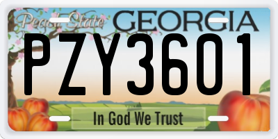 GA license plate PZY3601