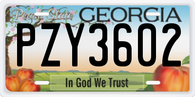 GA license plate PZY3602
