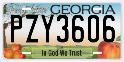 GA license plate PZY3606