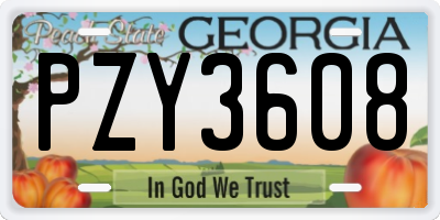 GA license plate PZY3608