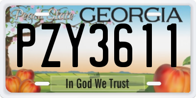 GA license plate PZY3611