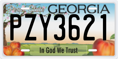 GA license plate PZY3621