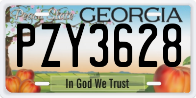 GA license plate PZY3628