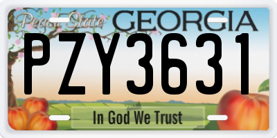 GA license plate PZY3631