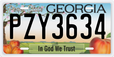 GA license plate PZY3634