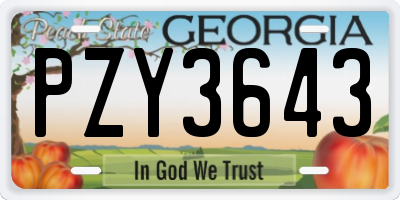 GA license plate PZY3643