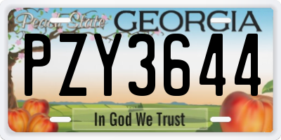 GA license plate PZY3644
