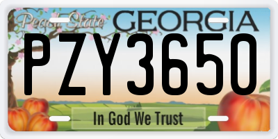 GA license plate PZY3650
