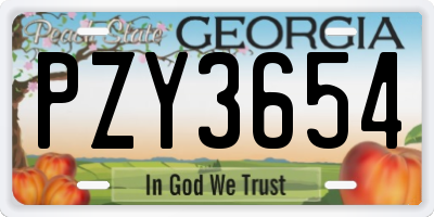 GA license plate PZY3654
