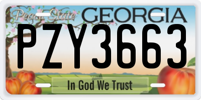 GA license plate PZY3663