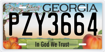 GA license plate PZY3664