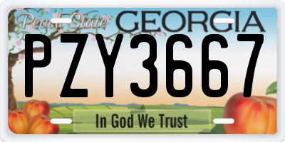 GA license plate PZY3667