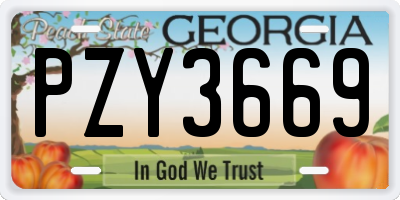 GA license plate PZY3669